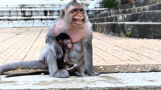 Poorest Baby Bean Stays Closer With Old Mommy Barry