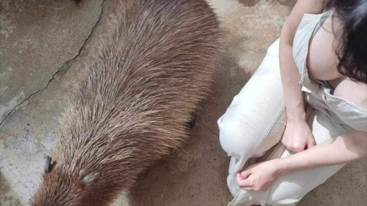 NAKAKAGULAT ANG GANDA NI ATE