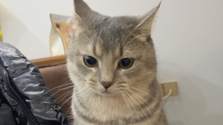 Do you *have* to go to the bathroom while I’m eating?