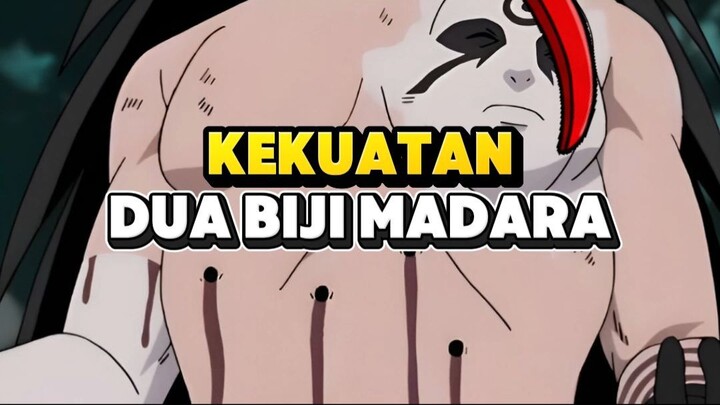 MOMEN MADARA PAKE DUA BIJI NYA