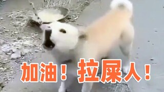 加油！拉 屎 人  ！！