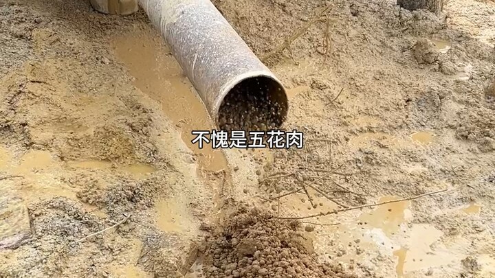 Đào giếng đến bể phốt à?