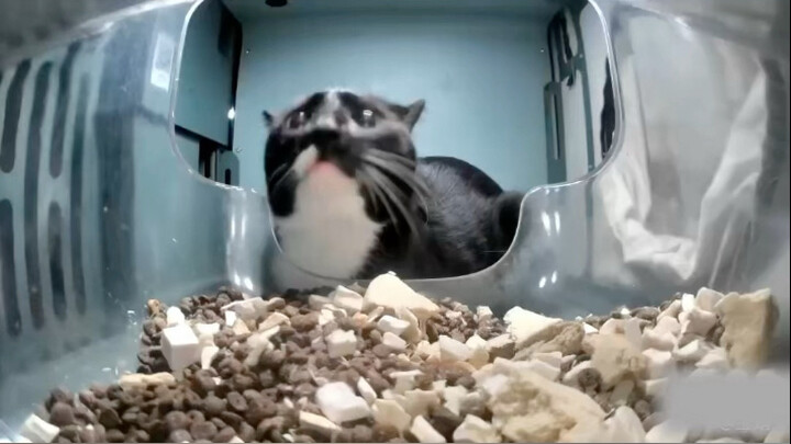 Chính sách kế hoạch hóa gia đình tốt lắm, nhìn gì vậy? Tiếp theo sẽ đến lượt bạn đấy!