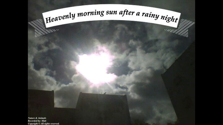 Heavenly morning sun after a rainy night [Nature & Animals]