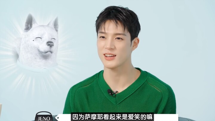 Thật sự cảm thấy Jeno là thành viên của nhóm Samoyed chăng? 🐶: Tzu-min ơi, giờ anh ấy chẳng coi mình