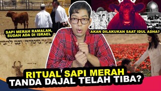 APA BENAR IDUL ADHA NANTI AKAN ADA RITUAL SAPI MERAH !?