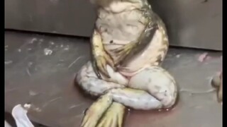 麻木在此具象化