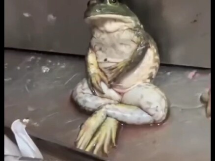 麻木在此具象化