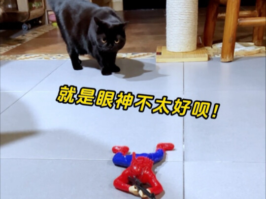 Don’t buy this “Spider-Man” — his eyesight is terrible! Seriously! Just look…