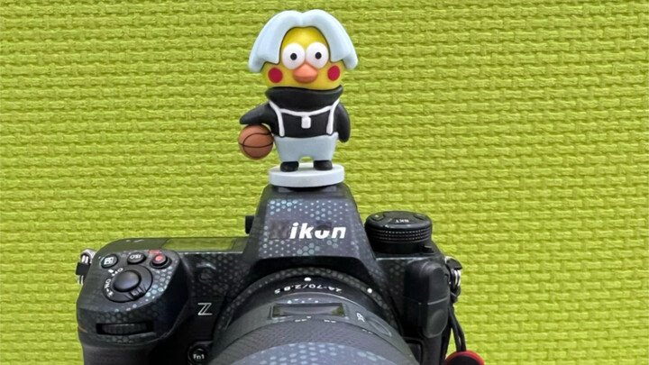 I actually really liked Nikon cameras.