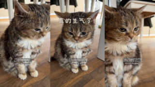 尊嘟生气了！😠