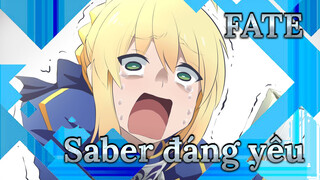 [FATE/Saber] Khi Saber cố gắng trở nên đáng yêu!