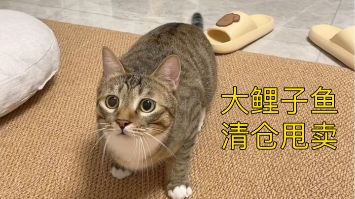 ปลาคาร์พตัวใหญ่ลดราคาครั้งยิ่งใหญ่!