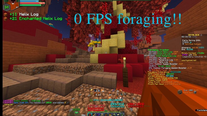 Low FPS foraging on Hypixel Skyblock :(