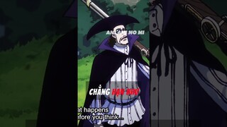 Những bộ đôi trái ác quỷ bất bại trong One Piece #anime #onepiece #luffy