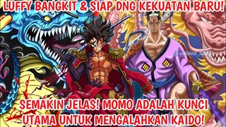 SEMAKIN JELAS! Peran Penting MOMO! KUNCI UTAMA Untuk MENGALAHKAN KAIDO! - ANALISIS OP 1020