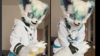 没活整的小白狗表演起了他的才艺