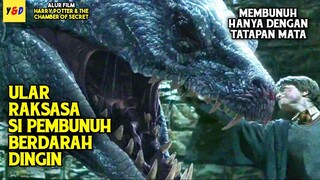 Ular Raksasa Penghuni Ruang Rahasia - ALUR CERITA FILM Harry Potter And The Chamber Of Secrets