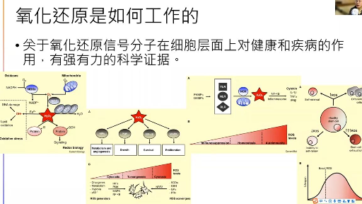 氧化还原与健康 - 林伟雄医生