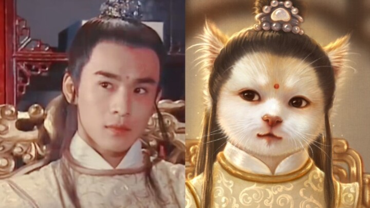 Chỉ có trên thiên đình mới có được chú mèo này