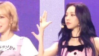 điệu nhảy ngẫu nhiên aespa FM! Nhảy REDVELVET, (G)I-DLE, Lee Taemin, NCT127, MOMOLAND, Sunmi, BRAVE 