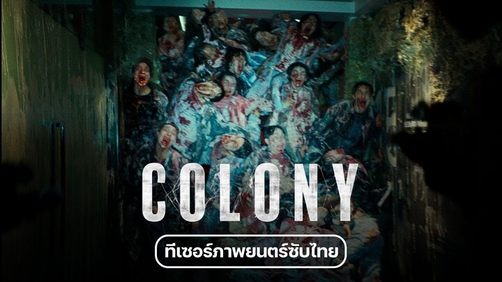 🎬 𝗖𝗢𝗟𝗢𝗡𝗬 ● 2026
