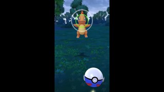 Pokémon GO-Party Hat Charmander