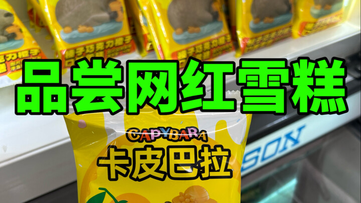 “Sát thủ kem” đã xuất hiện sớm, đúng cái con capybara này vừa nhìn đã giáng cho ví tiền tôi một đòn 