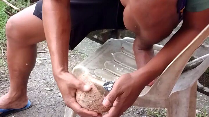 itk pwede gawing gadgaran Ng niyog