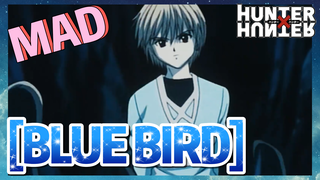 [BLUE BIRD] MAD