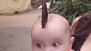 蝴蝶停在宝宝头上不走了