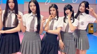 نيوجينز ديتو، مرحلة عالية الدقة