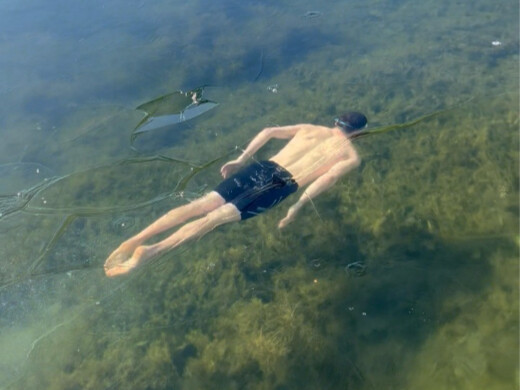 Mùa bơi mùa đông đã bắt đầu