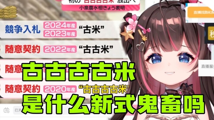 【东爱璃】看《日本的古古古古米》“古古古古米，是什么新式鬼畜吗”