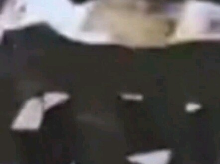 يا له من أحمق!