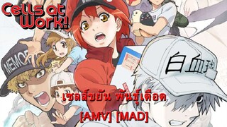 Hataraku Saibou - เซลล์ขยัน พันธุ์เดือด [AMV] [MAD]