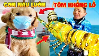 Thú Cưng Vlog | Tứ Mao Ham Ăn Đại Náo Bố #50 | Chó gâu đần thông minh vui nhộn | Funny smart pet dog