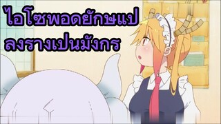 ไอโซพอดยักษ์แปลงร่างเป็นมังกร