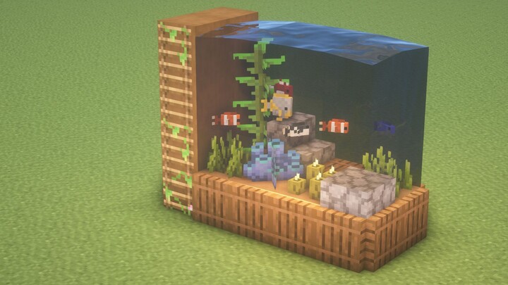 The fish tank—let's move in!