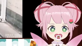 Japanese fairies watch "This operation monitoring is so amazing" #VUP slice