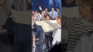Hanniehae🐰Cute 🥰#seventeen #jeonghan #scoups #hoshi #mingyu #dk #woozi #wonwoo #the8 #dino #jun