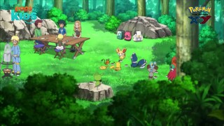 pokemon xy t46(230)