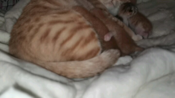 Her head was suddenly cradled by her mom, who pressed it against her own face with boundless tendern