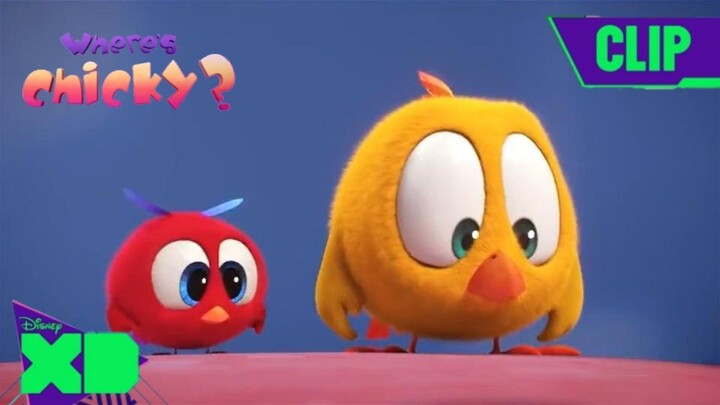 Balloon 🎈 | Where's Chicky? | Disney XD