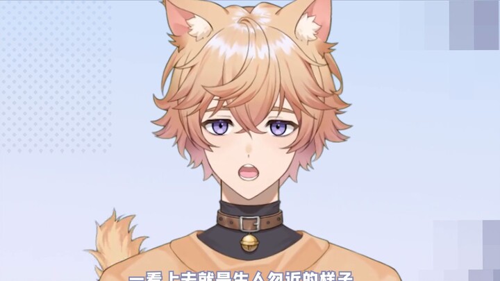 [Self-introduction] What is the secret to raising a cat in summer? !