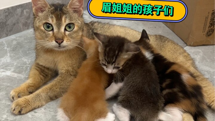 It turns out Sister Mei hasn't forgotten her kids yet T-T