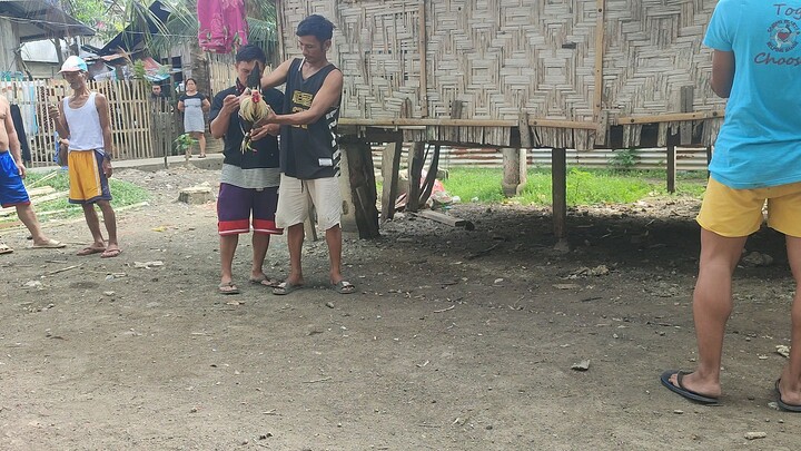 dalawa tari kalaban