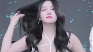 Panda Class Korea #7