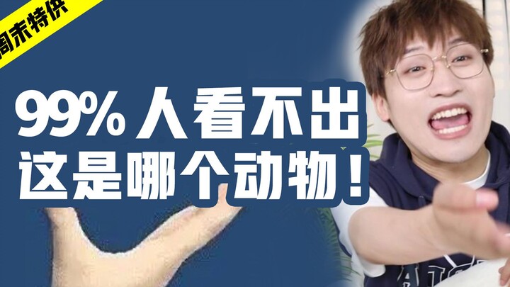 Thật sốc! Bộ phận này của con vật thực sự trông như thế này!