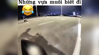 Những vựa muối di động 😂